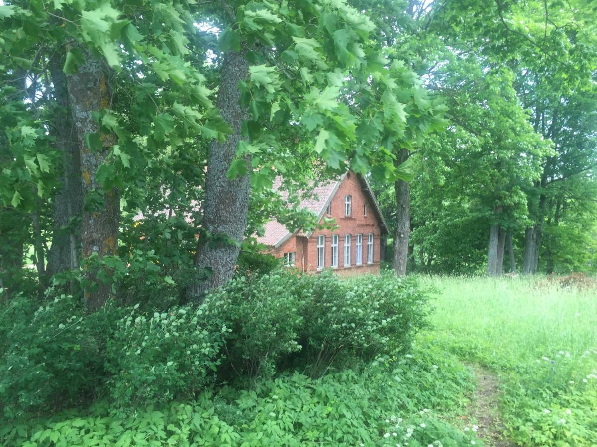 Stara Szkola Nad Jeziorem Czarne  Экстерьер фото